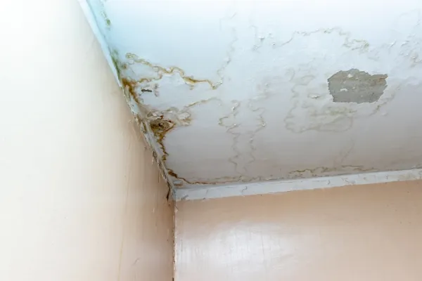 Plafond met vochtplekken